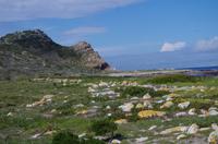 Nationalpark Kap-Halbinsel