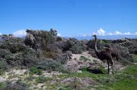 Nationalpark Kap-Halbinsel