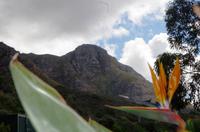 Blick auf die Berge in Simons Town