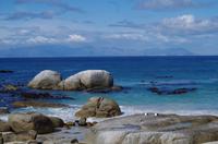 Pinguin-Kolonie am Boulders Beach