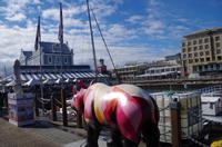 Kapstadt - Victoria & Alfred Waterfront