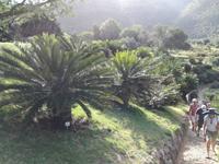 IMG_20181229_164057_1