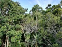 IMG_20181229_164517_1