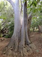 IMG_20181229_165205_2