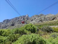 IMG_20181231_112347_1