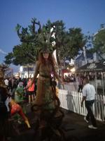 IMG_20181231_202406_1