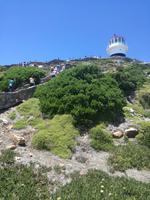 IMG_20190101_132331_1