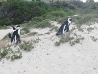 IMG_20190101_173007_1