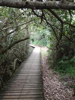 IMG_20190103_163938_2