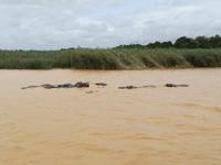 IMG_20190104_112731_1