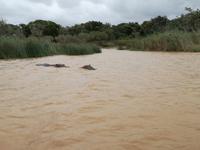 IMG_20190104_114445_1