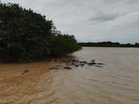 IMG_20190104_114938_1