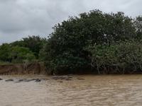 IMG_20190104_115036_1