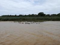 IMG_20190104_120103_1