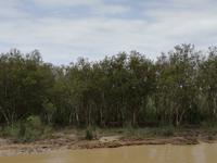 IMG_20190104_120437_1