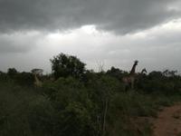 IMG_20190105_171306_1