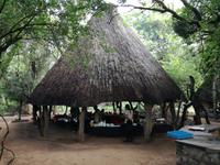 IMG_20190106_080926_1