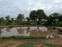 IMG_20190108_054930_1