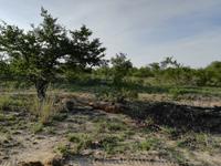 IMG_20190108_171428_1