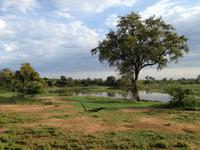 IMG_20190109_063102_1