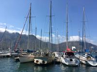 Am Westkap unterwegs: Blick auf Hout Bay