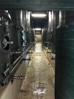 Ausflug Winelands: Weingut Blaauwklippen