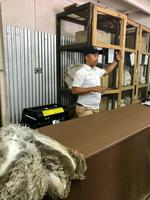 Oudtshoorn: Highgate Straußenfarm