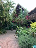 Knysna: Hotel The Graywood