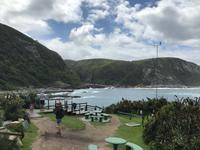 Tsitsikamma National Park