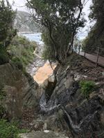 Tsitsikamma National Park