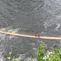Tsitsikamma National Park: Über die Hängebrücken