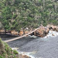 Tsitsikamma National Park: Über die Hängebrücken