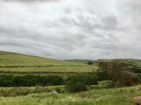 Unterwegs in Kwazulu-Natal: Zuckerrohrfelder