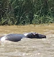 St. Lucia: Bootsfahrt auf dem Lake St. Lucia
