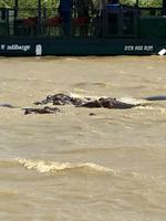 St. Lucia: Bootsfahrt auf dem Lake St. Lucia