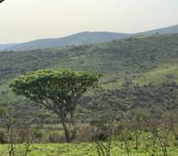 Hluhluwe Nationalpark: Landschaftsbild