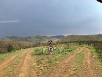 Hluhluwe Nationalpark: kein Durchgang für Menschen, nur für Tiere