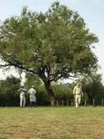 Hluhluwe Nationalpark: Die Ranger