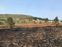 Hluhluwe Nationalpark: Landschaftsbild