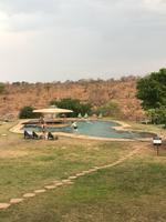Mpumalanga: Nkambeni Safari Camp