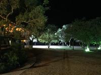 Mpumalanga: Nkambeni Safari Camp