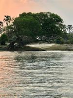 Simbabwe -Victoria Falls: Sonnenuntergangs-Bootsfahrt auf dem Sambesi