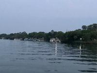 Simbabwe -Victoria Falls: Sonnenuntergangs-Bootsfahrt auf dem Sambesi