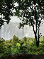 Simbabwe -Victoria Falls: Regenwald an den Wasserfällen