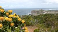 Wanderung am Kap der Guten Hoffnung