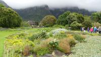 Botanischer Garten Kirstenbosch 