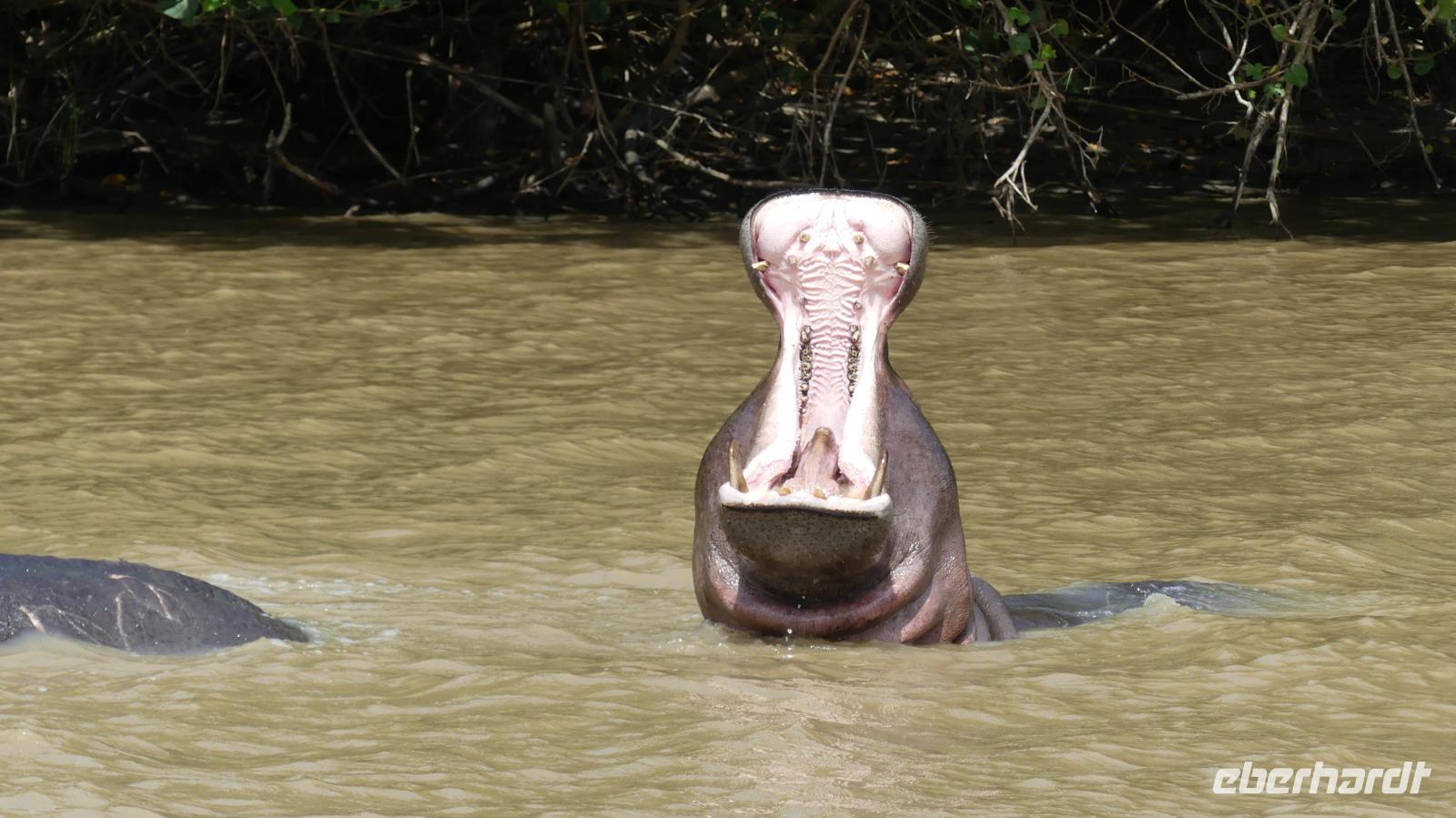 Ausflug St. Lucia See