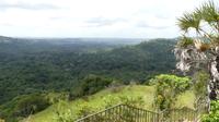Shimba Hills
