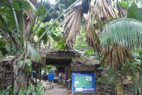 19.Tag, Praslin, Vallee de Mai