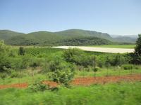 Plastikplanen über der Plantage